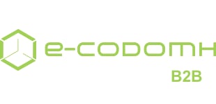 project logo e-codomi